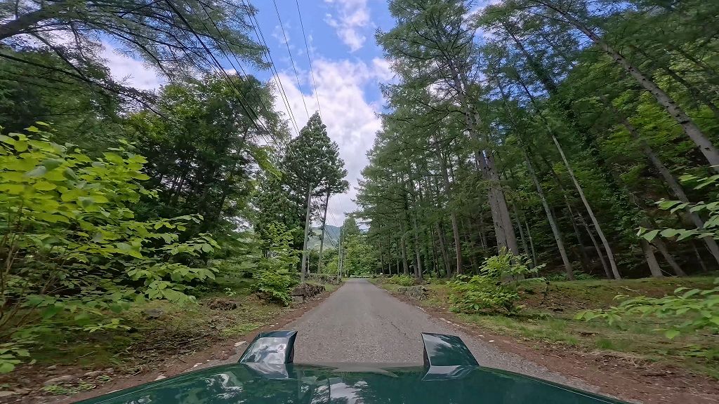 栃木県道293号庚申山公園線